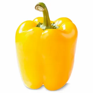 تصویر 3 از خرید و قیمت انواع فلفل دلمه‌ ای زرد